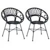 Image de Vidaxl chaise de salle à manger 2 pcs rotin et métal noir