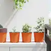 Image de Pot À Fleurs 200 Pcs Terre Cuite Ø 15 X 13 Cm Plastique Vidaxl