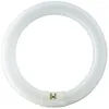 Image de Tube fluorescent Philips - G10Q CIRCLINE 22w 6500K -865