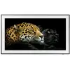 Image de Tv Led - Lcd Samsung, Qe43ls03a