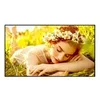 Image de LG 43UL5Q-E UL5Q-E Series - 43 avec Pro:Idiom integre ecran LCD retro-eclaire par LED - 4K - pour signalisation numerique
