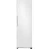 Image de Samsung Réfrigérateur 1 porte 60cm 387l - RR70H39FDV
