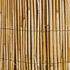 Image de Canisse Roseau Naturel Windhager