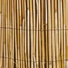 Image de Brise-vue Windhager 06523 naturel 1m x 5 m