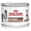 Image de Aliment diététique - ROYAL CANIN - Veterinary Recovery - Mousse ultra douce - 12x195 g - Chiens adultes convalescence