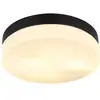 Image de Globo vranos plafonnier d'extérieur noir mat ip44, abat-jour en verre opale, 2 x e27