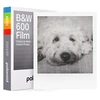 Image de Film Instantané Polaroid 600 Noir Et Blanc 8 Vues Cadre Blanc Classique 640 Asa