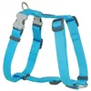 Image de Harnais pour Chien - RED DINGO - Turquoise - Taille L - Nylon Résistant - Réglage Facile