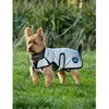 Image de Manteau pour chien impérmeable Weatherbeeta Comfitec - silver - Gris - 40 cm