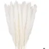 Image de Bouquet 30 herbes de pampa séchées 58 cm blanc déco intérieure et mariage