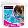 Image de 5KG CHLORE CHOC GRANULE