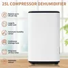 Image de Déshumidificateur - LANGTU - 25L/jour - Réservoir 6L - 26 m² - Minuterie 24h