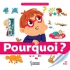 Image de Pourquoi ? Anne Royer en occasion ou reconditionné