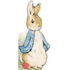 Image de Bonjour Pierre Lapin ! beatrix potter en occasion ou reconditionné