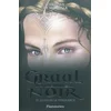 Image de Graal noir. Vol. 3. Le lys de la vengeance Christian de Montella en occasion ou reconditionné