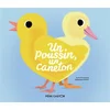 Image de Un poussin, un caneton Anne Fronsacq, Sébastien Pelon en occasion ou reconditionné