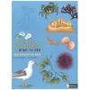 Image de Les Bords De Mer - Mon Cahier D'observation Et D'activitÃ©s en occasion ou reconditionné