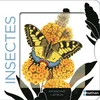 Image de Insectes Amandine Laprun en occasion ou reconditionné