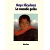 Image de La cascade gelée Gaye Hiçyilmaz en occasion ou reconditionné