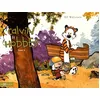 Image de Calvin Et Hobbes - Tome 3 en occasion ou reconditionné