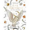 Image de Ame chamane : un livre à colorier Wild Amanda en occasion ou reconditionné