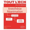 Image de Anesthésie, réanimation Elodie Teil, Agathe Desvaux, Marion Bisch en occasion ou reconditionné