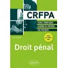Image de Droit pénal : CRFPA : fiches thématiques, schémas de synthèse, cas pratiques Evan Raschel en occasion ou reconditionné