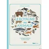 Image de Le royaume des animaux : classification scientifique des espèces animales Oseid, Kelsey en occasion ou reconditionné