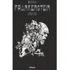 Image de Frankenstein en occasion ou reconditionné