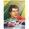 Image de Ayrton Senna - Histoires D'un Mythe en occasion ou reconditionné