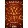 Image de Vampire academy. Vol. 4. Promesse de sang Richelle Mead en occasion ou reconditionné