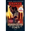 Image de Stranger things : darkness on the edge of town Adam Christopher en occasion ou reconditionné