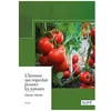 Image de L'homme Qui Regardait Pousser Les Tomates en occasion ou reconditionné