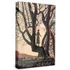 Image de Anne de Green Gables Lucy Maud Montgomery en occasion ou reconditionné