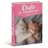 Image de Agenda Chats - 2024-2025 en occasion ou reconditionné