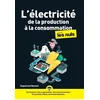 Image de L'électricité, de la production à la consommation, pour les nuls Enguérand Renault en occasion ou reconditionné