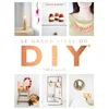 Image de Le grand livre des DIY (do it yourself) Emilie Guelpa en occasion ou reconditionné