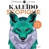 Image de Kaléïdoscopique Max Jackson en occasion ou reconditionné