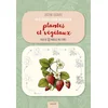 Image de 10 étapes pour dessiner plantes et végétaux : plus de 50 modèles pas à pas ! Justine Lecouffe en occasion ou reconditionné