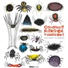 Image de Comment ratatiner les araignées ? Catherine Leblanc, Roland Garrigue en occasion ou reconditionné