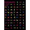 Image de Kamasutra Brigitte Lahaie en occasion ou reconditionné