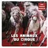 Image de Les animaux du cirque collectif d'auteurs en occasion ou reconditionné