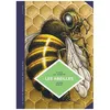 Image de Les Abeilles - Les ConnaÃ®tre Pour Mieux Les ProtÃ©ger en occasion ou reconditionné
