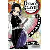 Image de Demon slayer : Kimetsu no yaiba. Vol. 6 Koyoharu Gotouge en occasion ou reconditionné