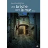Image de Une brèche dans le mur Claire Michaud-Destriau en occasion ou reconditionné