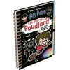 Image de Les secrets de Poudlard : d'après les films Harry Potter : mon livre magique à gratter wizarding world en occasion ou reconditionné