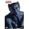 Image de Les TrÃ©sors De Marvel NÂ°11 : 1972 en occasion ou reconditionné