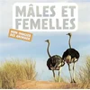 Image de Mâles et femelles : mon imagier des animaux Naturagency en occasion ou reconditionné