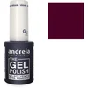 Image de Andreia Professional - Vernis semi-permanent The Gel Polish G24