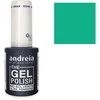 Image de Andreia Professional - Vernis semi-permanent The Gel Polish CB5